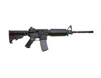 Stag Arms AR-15 2R 16.gif
